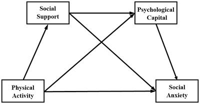 The impact of physical activity on social anxiety among college students: the chain mediating effect of social support and psychological capital